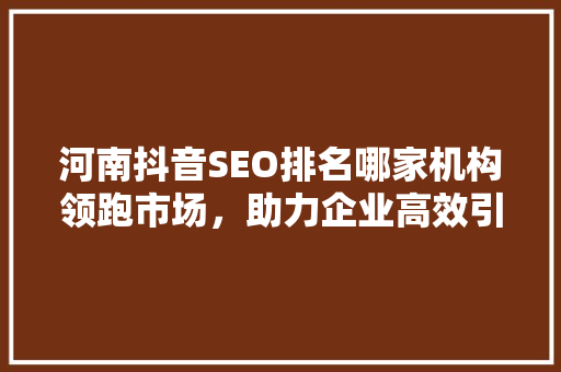 河南抖音SEO排名哪家机构领跑市场，助力企业高效引流  第1张