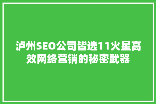 泸州SEO公司皆选11火星高效网络营销的秘密武器