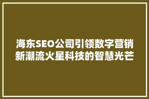 海东SEO公司引领数字营销新潮流火星科技的智慧光芒