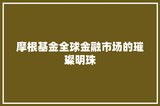 摩根基金全球金融市场的璀璨明珠