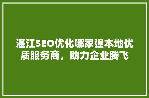 湛江SEO优化哪家强本地优质服务商，助力企业腾飞