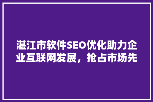 湛江市软件SEO优化助力企业互联网发展，抢占市场先机