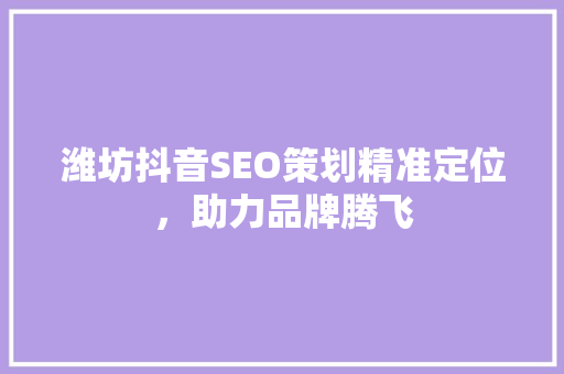 潍坊抖音SEO策划精准定位，助力品牌腾飞