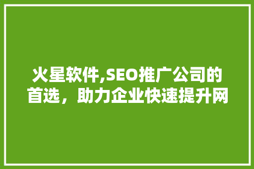 火星软件,SEO推广公司的首选，助力企业快速提升网络知名度