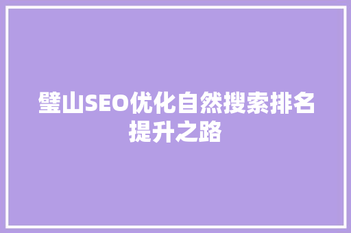 璧山SEO优化自然搜索排名提升之路