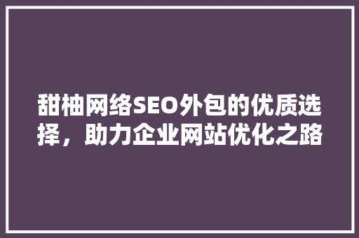 甜柚网络SEO外包的优质选择，助力企业网站优化之路