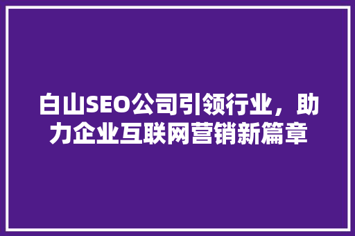 白山SEO公司引领行业，助力企业互联网营销新篇章