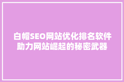 白帽SEO网站优化排名软件助力网站崛起的秘密武器