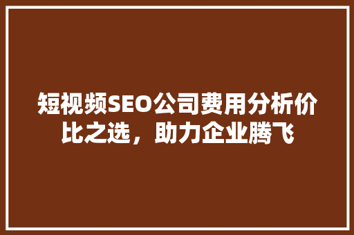 短视频SEO公司费用分析价比之选，助力企业腾飞