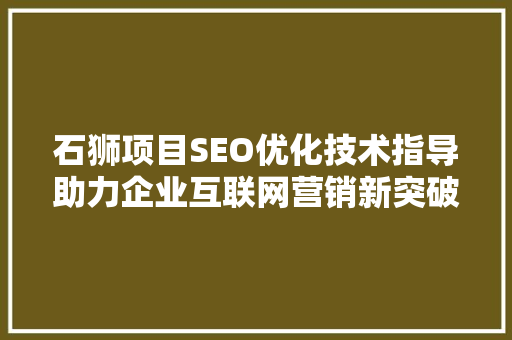 石狮项目SEO优化技术指导助力企业互联网营销新突破