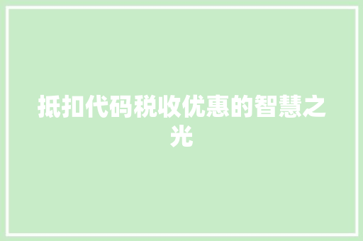 抵扣代码税收优惠的智慧之光