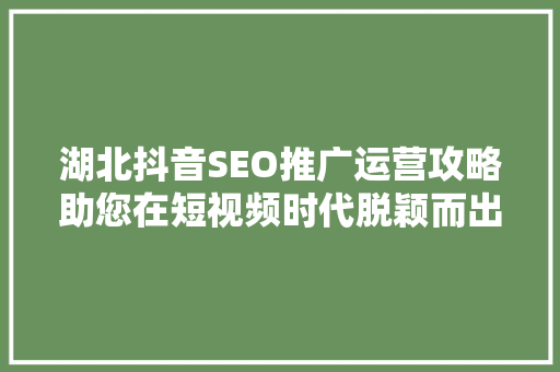 湖北抖音SEO推广运营攻略助您在短视频时代脱颖而出