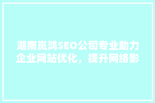 湖南岚鸿SEO公司专业助力企业网站优化，提升网络影响力