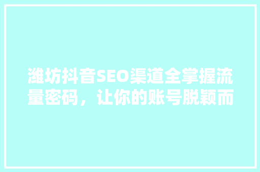 潍坊抖音SEO渠道全掌握流量密码，让你的账号脱颖而出
