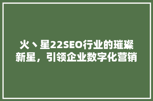 火丶星22SEO行业的璀璨新星，引领企业数字化营销新潮流