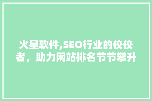 火星软件,SEO行业的佼佼者，助力网站排名节节攀升