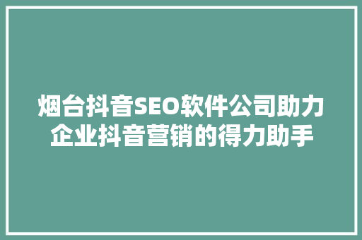烟台抖音SEO软件公司助力企业抖音营销的得力助手