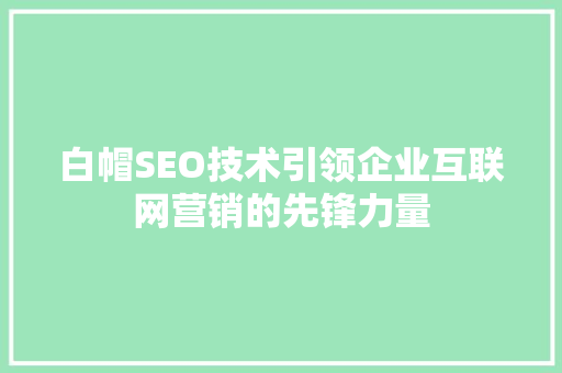 白帽SEO技术引领企业互联网营销的先锋力量