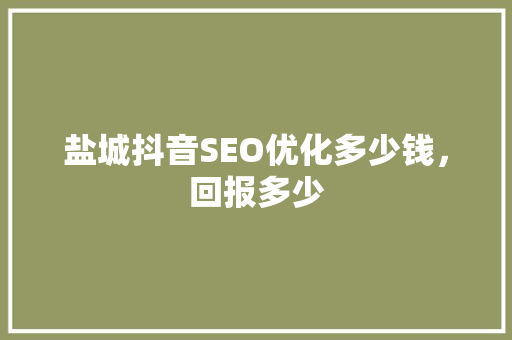 盐城抖音SEO优化多少钱，回报多少