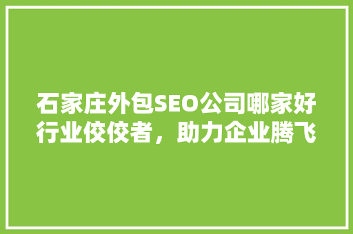石家庄外包SEO公司哪家好行业佼佼者，助力企业腾飞