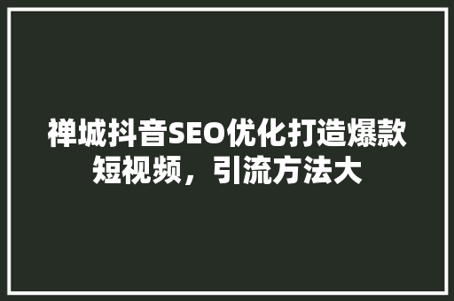 禅城抖音SEO优化打造爆款短视频，引流方法大