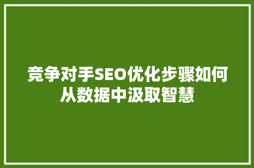 竞争对手SEO优化步骤如何从数据中汲取智慧