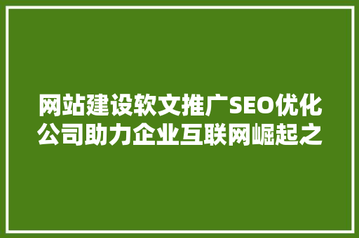 网站建设软文推广SEO优化公司助力企业互联网崛起之路