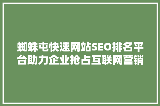 蜘蛛屯快速网站SEO排名平台助力企业抢占互联网营销高地