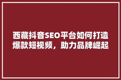 西藏抖音SEO平台如何打造爆款短视频，助力品牌崛起