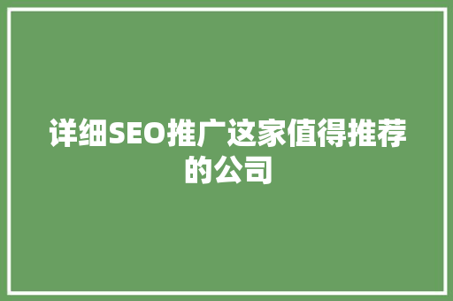 详细SEO推广这家值得推荐的公司