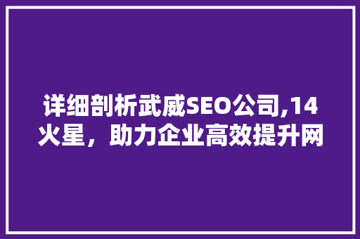 详细剖析武威SEO公司,14火星，助力企业高效提升网络知名度