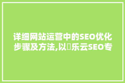 详细网站运营中的SEO优化步骤及方法,以乚乐云SEO专家为例