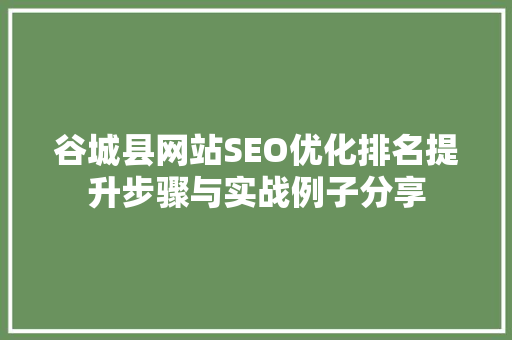 谷城县网站SEO优化排名提升步骤与实战例子分享