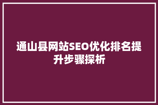 通山县网站SEO优化排名提升步骤探析