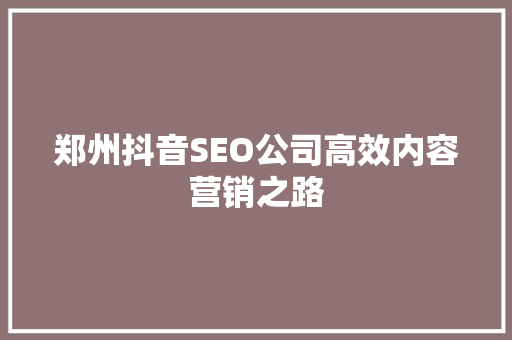 郑州抖音SEO公司高效内容营销之路  第1张