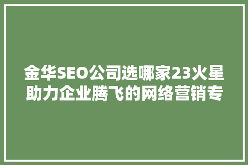 金华SEO公司选哪家23火星助力企业腾飞的网络营销专家