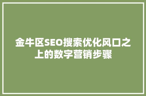 金牛区SEO搜索优化风口之上的数字营销步骤