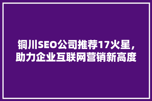 铜川SEO公司推荐17火星，助力企业互联网营销新高度