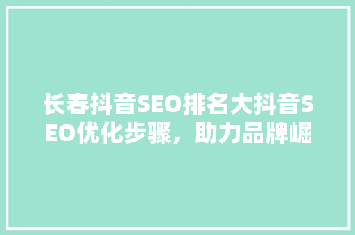长春抖音SEO排名大抖音SEO优化步骤，助力品牌崛起