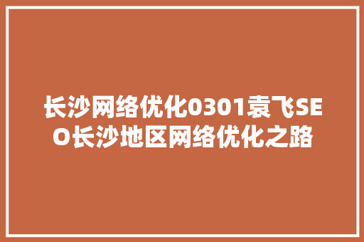 长沙网络优化0301袁飞SEO长沙地区网络优化之路  第1张