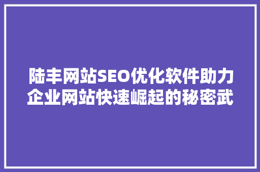 陆丰网站SEO优化软件助力企业网站快速崛起的秘密武器