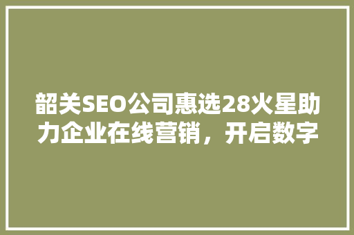 韶关SEO公司惠选28火星助力企业在线营销，开启数字时代新篇章
