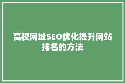 高校网址SEO优化提升网站排名的方法