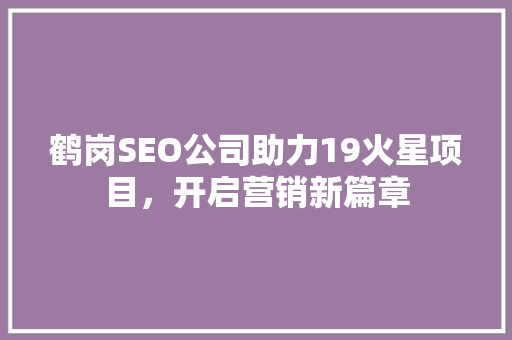 鹤岗SEO公司助力19火星项目，开启营销新篇章