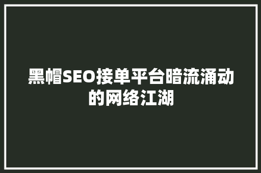黑帽SEO接单平台暗流涌动的网络江湖  第1张