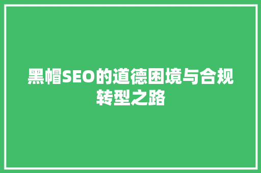 黑帽SEO的道德困境与合规转型之路