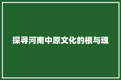 探寻河南中原文化的根与魂