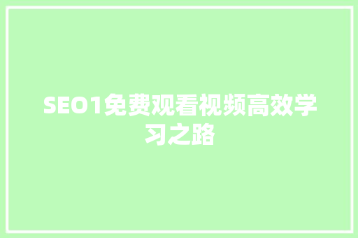 SEO1免费观看视频高效学习之路
