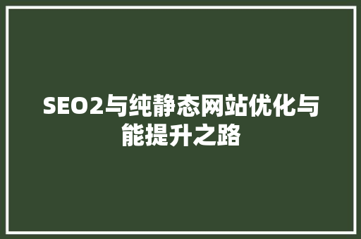 SEO2与纯静态网站优化与能提升之路