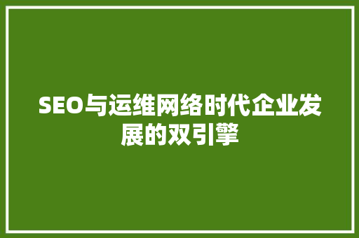 SEO与运维网络时代企业发展的双引擎
